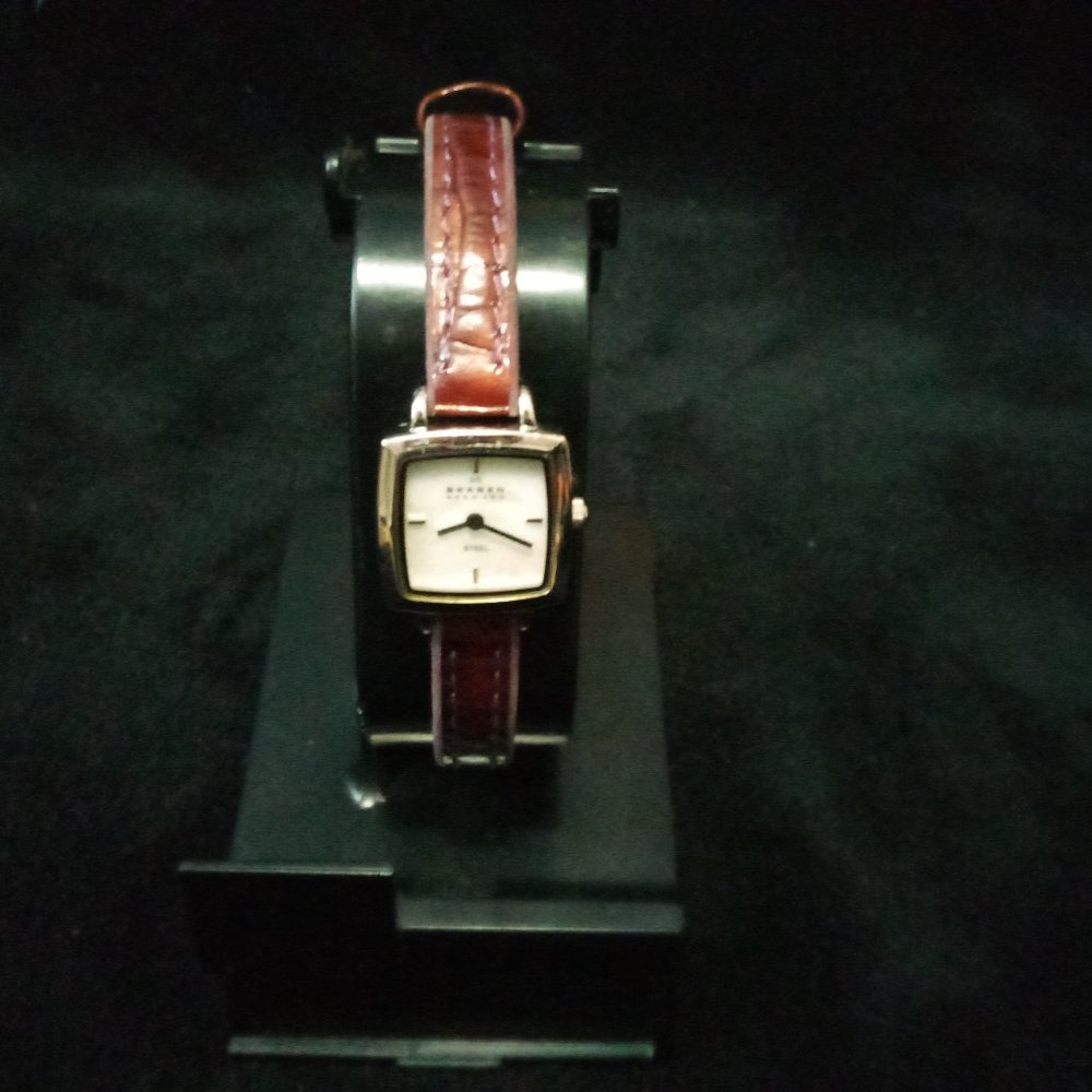Pre-Loved Skagen Steel Womens Watch Silver Tone